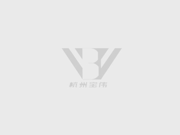 社會責任報告(寶偉）-2024年度